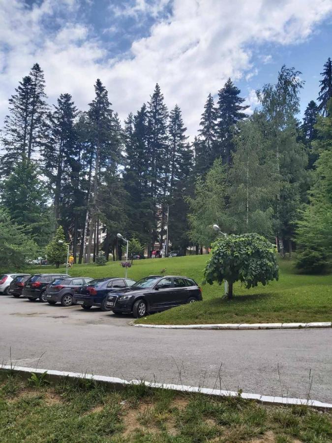 Premium Apartment In Borovets Gardens Complex Eksteriør bilde