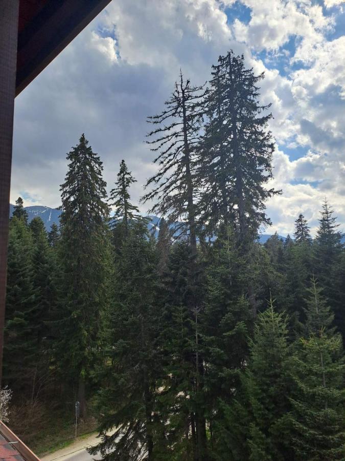 Premium Apartment In Borovets Gardens Complex Eksteriør bilde